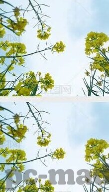 av无码天堂一区二区三区-探索成人内容平台的多元区域，天堂一区、二区、三区的独特魅力