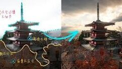 大象传媒 米欧-米欧与大象传媒，共舞在数字时代的创意浪潮