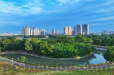 麻豆91短视频-麻豆91短视频平台，网络文化的双重面孔与警示思考