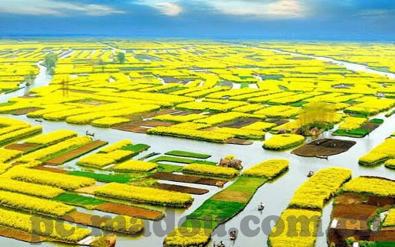 麻豆app大全-麻豆APP大全，解锁多元社交与创意内容的新视窗