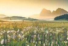 手机免费的成人在视频-免费成人视频，手机时代下的新娱乐趋势
