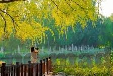 糖心vlog怎么下载视频-糖心Vlog视频下载技巧全攻略