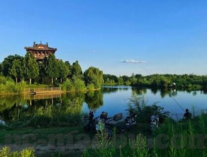 怎么下载糖心视频app-轻松入料的视频下载之旅，糖心视频app下载全知道